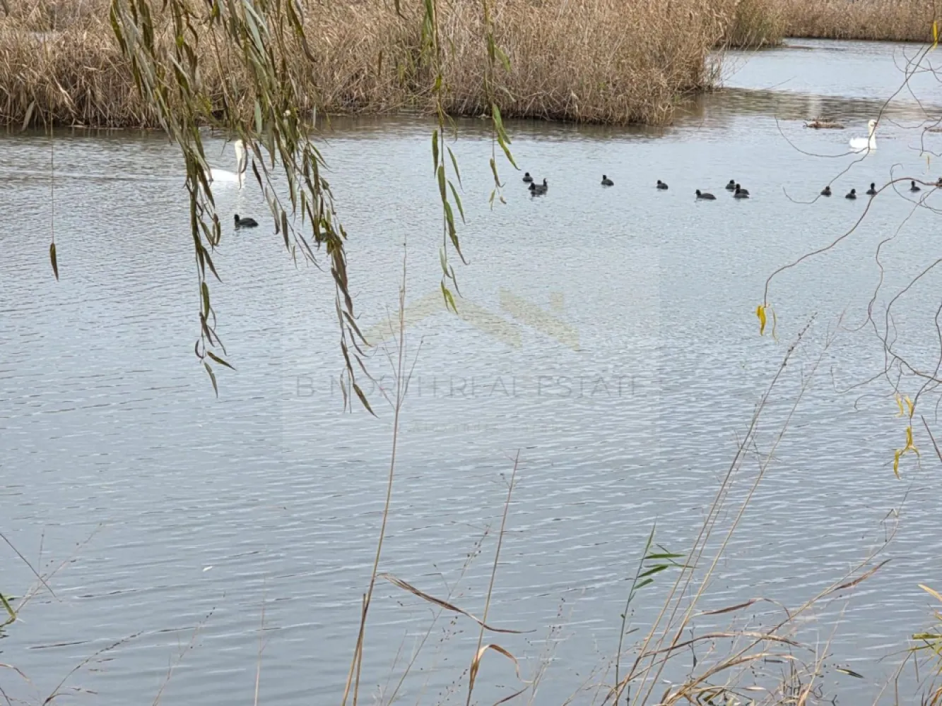 Parcelă Intravilană cu Vedere Superbă la Lac, Investiție de Top în Corbeanca - B-North Real Estate Va prezinta spre vanzare teren cu oportunitate de dezvoltare, vedere catre lac .
Suprafață totală: 3.572 mp
Deschidere la Strada Cetății / lac: 23,02 m
Regim urbanistic: UTR F – locuințe individuale
POT: 30%
CUT: 1.0
Regim de înălțime: P+2E+M
Acces: dublu – Strada Cetății + potențial drum privat 5 m pe latura dreaptă

🌟 PUNCTE CHEIE
✔ Deschidere directă la lac

Priveliște superbă, ideală pentru dezvoltări premium: vile, duplexuri, ansamblu boutique.
✔ Teren intravilan cu formă avantajoasă
Se potrivește perfect pentru dezvoltări 3–6 unități cu orientare către lac.
✔ Acces excelent
Strada Cetății + posibilitate de drum privat → facilitarea accesului la proiect și a etapizării construcției.
✔ Indicatori urbanistici generoși (UTR F)
Permit un proiect cu arhitectură modernă, deschideri mari vitrate și suprafețe ample.
✔ Zonă în plină dezvoltare
Înconjurat de alte proiecte noi, ideal pentru investitori care urmăresc potențial de creștere accelerată.
🏡 POTENȚIAL DE DEZVOLTARE
Terenul permite:
🔹 3 duplexuri cu vedere integrală la lac
🔹 3 vile individuale cu drum privat de acces
🔹 un ansamblu boutique cu acces controlat
🔹 concept de tip „lake retreat” / wellness

Forma terenului permite amplasarea caselor în evantai, maximizând panorama lacului pentru fiecare unitate.

📍 LOCAȚIE

Situat pe Strada Cetății – Corbeanca, cu acces direct la lac, înconjurat de natură, liniște și dezvoltări noi premium.

La doar câteva minute de:
DN1
școli și grădinițe
restaurante și centre comerciale
transport convenabil către București

💼 RECOMANDAT PENTRU:
dezvoltatori imobiliari
investitori privați
proiecte premium cu randament ridicat
ansambluri cu vedere la lac

Pentru mai multe detalii si vizionari va rugam sa ne contactati!