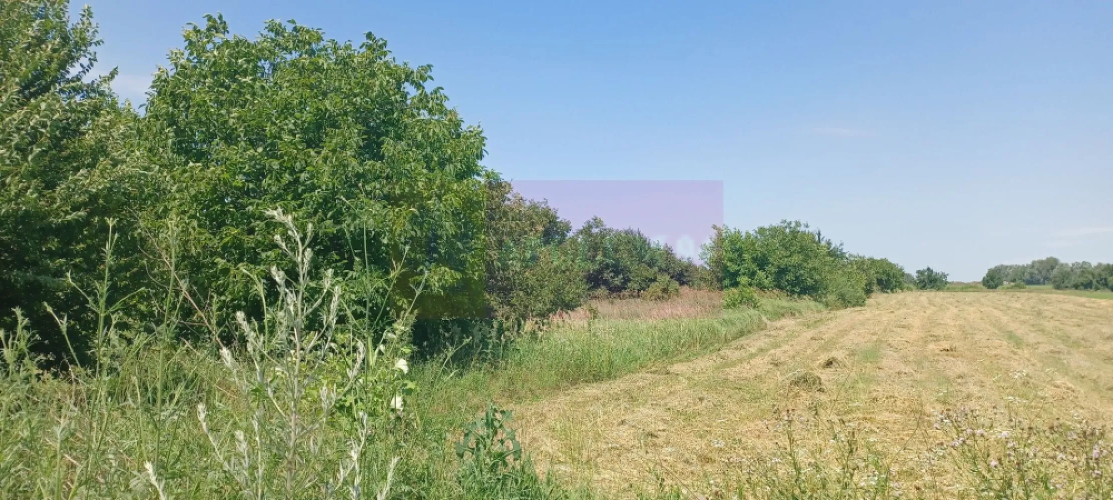 Săbăreni, teren intravilan 665 mp, aproape de DJ 602 - Terenul se află în comuna Săbăreni, la iesirea spre Joița, la 75 m distanță de DJ602, Str Castanilor. Este intravilan construibil, are suprafața de 665 mp, cu d = 24 m la drumul de acces. Are documentație cadastrală si este intabulat in Cartea Funciară. Preț lot + cota indiviză de drum 16.900 EUR, neg