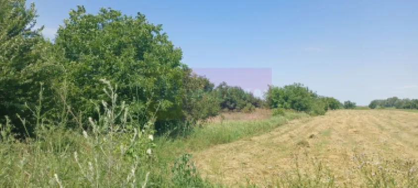 Săbăreni, teren intravilan 665 mp, aproape de DJ 602