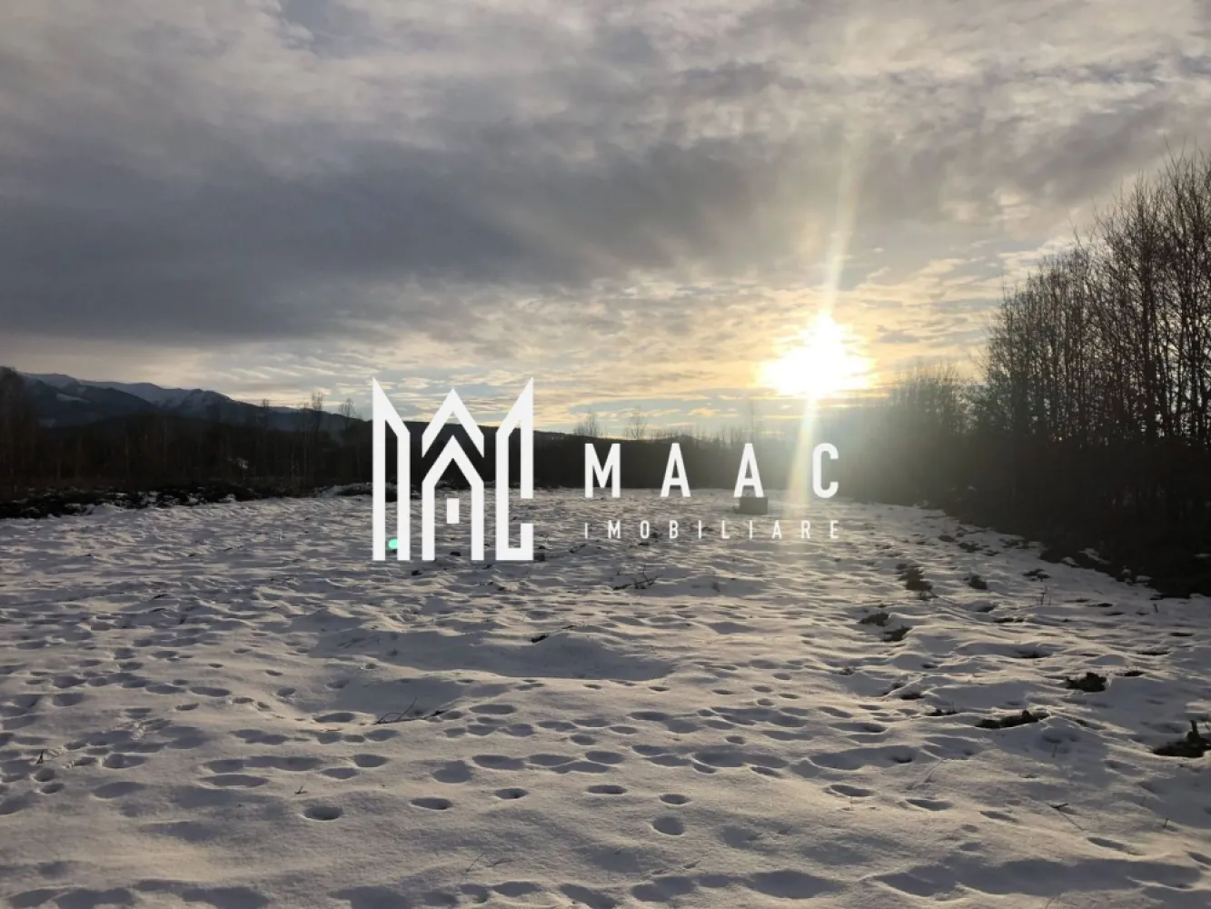 Teren Intravilian I 2000 mp I Valea Avrigului Sibiu