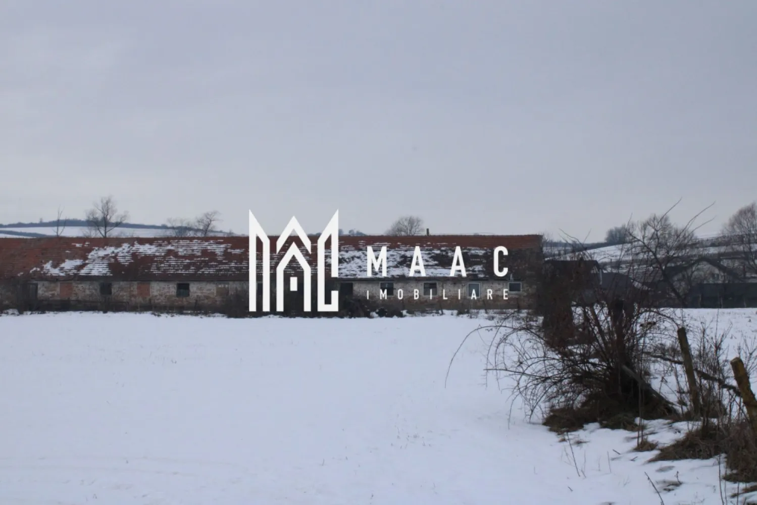 Teren l 8000 mp I Cladiri pe teren I Intravilan I Vurpar - MAAC Imobiliare va ofera o Oportunitate de Aur la Intrarea în Vurpar: Teren Agricol cu Potențial Excepțional

La marginea satului Vurpar, unde câmpia întâlnește prima uliță, se află o piesă de pământ care așteaptă să își scrie un nou capitol. Un teren agricol generos, întins pe 8000 de metri pătrați, vine însoțit de trei martori ai trecutului, construcții care, deși purtă amprenta timpului pe fațadele lor, ascund în scheletul lor o promisiune solidă.

Detalii despre Proprietate:

* Terenul:** Un petic de 8000 mp de pământ roditor, bine orientat și cu sol fertil, ideal pentru culturi tradiționale, pomicultură sau chiar o fermă mică. Accesul direct la drumul principal asigură o logistică fără bătăi de cap.
* Construcțiile (cu Potențial Imens):** Pe acest teren stau trei structuri care povestesc istorie, dar visează la viitor. Proprietarul deține 30% din fiecare, oferind o oportunitate unică de co-proprietate și renovare:
 * Clădirea Principală (~530 mp):** O structură spațioasă, cu osatura puternică. Poate fi transformată cu investiții moderate într-un depozit funcțional, hale pentru prelucrare agricolă, ateliere sau spații comerciale.
 * Fânarul (~108 mp):** Perfect pentru depozitarea de utilaje, materiale sau ca spațiu auxiliar.
 * Silozul (~90 mp):** O structură specializată, ideală pentru stocarea cerealelor sau a altor produse agricole, oferind o funcționalitate de neînlocuit pentru o afacere agro.
* Utilități: Proprietatea beneficiază de toate conexiunile necesare: curent trifazic, apă și canalizare, eliminând una dintre cele mai mari provocări ale unui proiect nou.

De Ce Este Această Oportunitate Specială?
1. Locație Strategică: Poziționat la intrarea în localitatea Vurpar, terenul este primul lucru pe care îl văd vizitatorii și potențialii clienți. Este un punct de reper și o pancartă de reclamă naturală.
2. Potențial Ridicat de Valorificare: Combinația dintre terenul agricol productiv și structurile renovabile deschide o paletă largă de posibilități: de la o fermă modernă cu procesare proprie, la un centru de depozitare și distribuție, până la un complex de agroturism sau spații de retail pentru produse locale.
3. Excelent pentru Investiții: Pentru investitorul cu viziune, acesta este un pachet complet. Costul de achiziție este atractiv, iar investiția în renovarea construcțiilor poate genera o valoare adăugată semnificativă, într-o zonă cu potențial de creștere.
4. Baza Este Acoperită: Prezența utilităților esențiale economisește timp, bani și bătăi de cap, permițând concentrarea directă asupra proiectului de business sau de renovare.
Pentru Cine?
* Antreprenorii agricoli care doresc să-și extindă sau să-și înceapă afacerea 

Nu ratați ocazia de a investi în această proprietate cu un potențial fantastic! Pentru mai multe detalii sau pentru a programa o vizionare, nu ezitați să ne contactați Pentru mai multe detalii precizati telefonic ca ati vazut anuntul cu ID CP2887007.