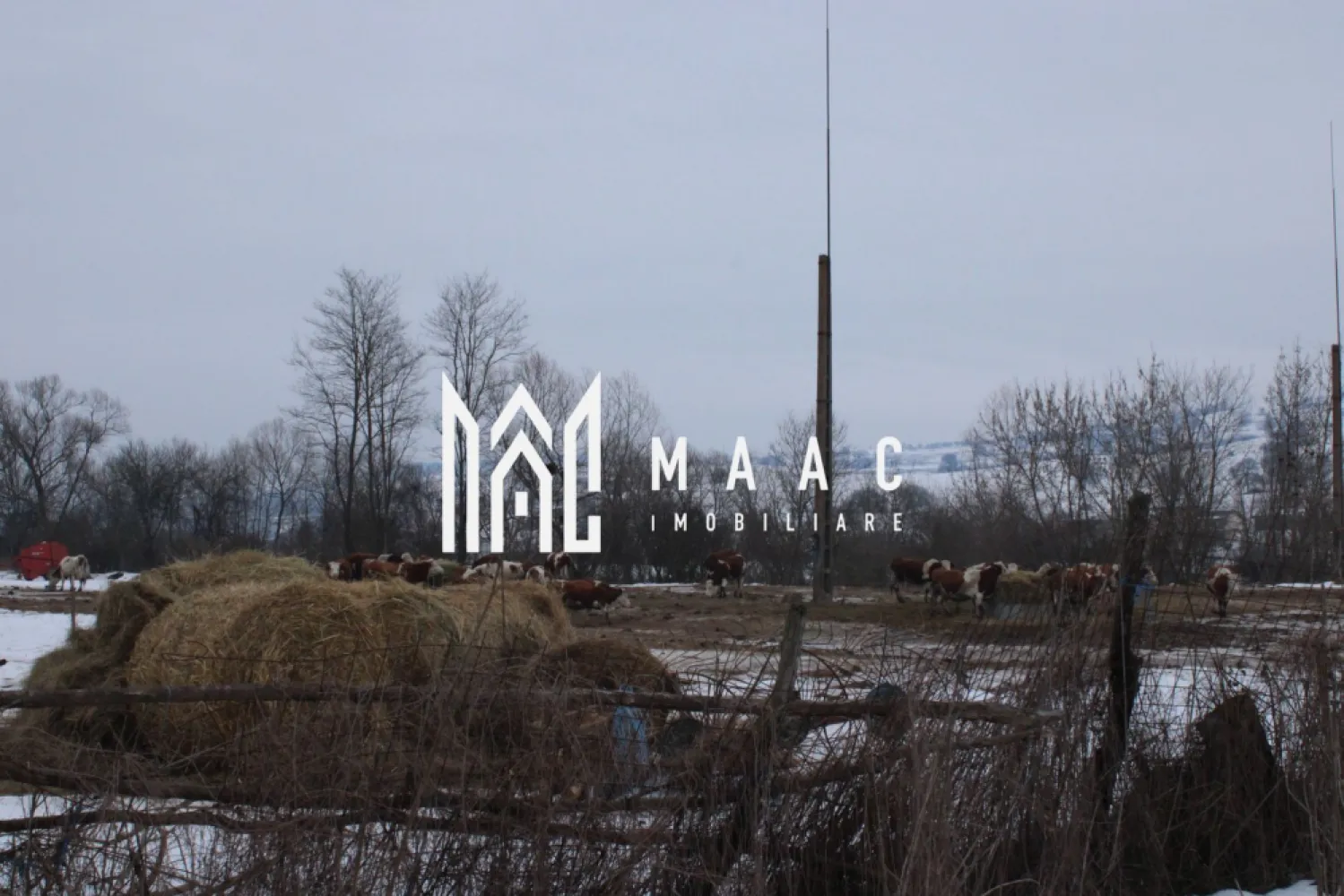 Teren l 8000 mp I Cladiri pe teren I Intravilan I Vurpar - MAAC Imobiliare va ofera o Oportunitate de Aur la Intrarea în Vurpar: Teren Agricol cu Potențial Excepțional

La marginea satului Vurpar, unde câmpia întâlnește prima uliță, se află o piesă de pământ care așteaptă să își scrie un nou capitol. Un teren agricol generos, întins pe 8000 de metri pătrați, vine însoțit de trei martori ai trecutului, construcții care, deși purtă amprenta timpului pe fațadele lor, ascund în scheletul lor o promisiune solidă.

Detalii despre Proprietate:

* Terenul:** Un petic de 8000 mp de pământ roditor, bine orientat și cu sol fertil, ideal pentru culturi tradiționale, pomicultură sau chiar o fermă mică. Accesul direct la drumul principal asigură o logistică fără bătăi de cap.
* Construcțiile (cu Potențial Imens):** Pe acest teren stau trei structuri care povestesc istorie, dar visează la viitor. Proprietarul deține 30% din fiecare, oferind o oportunitate unică de co-proprietate și renovare:
 * Clădirea Principală (~530 mp):** O structură spațioasă, cu osatura puternică. Poate fi transformată cu investiții moderate într-un depozit funcțional, hale pentru prelucrare agricolă, ateliere sau spații comerciale.
 * Fânarul (~108 mp):** Perfect pentru depozitarea de utilaje, materiale sau ca spațiu auxiliar.
 * Silozul (~90 mp):** O structură specializată, ideală pentru stocarea cerealelor sau a altor produse agricole, oferind o funcționalitate de neînlocuit pentru o afacere agro.
* Utilități: Proprietatea beneficiază de toate conexiunile necesare: curent trifazic, apă și canalizare, eliminând una dintre cele mai mari provocări ale unui proiect nou.

De Ce Este Această Oportunitate Specială?
1. Locație Strategică: Poziționat la intrarea în localitatea Vurpar, terenul este primul lucru pe care îl văd vizitatorii și potențialii clienți. Este un punct de reper și o pancartă de reclamă naturală.
2. Potențial Ridicat de Valorificare: Combinația dintre terenul agricol productiv și structurile renovabile deschide o paletă largă de posibilități: de la o fermă modernă cu procesare proprie, la un centru de depozitare și distribuție, până la un complex de agroturism sau spații de retail pentru produse locale.
3. Excelent pentru Investiții: Pentru investitorul cu viziune, acesta este un pachet complet. Costul de achiziție este atractiv, iar investiția în renovarea construcțiilor poate genera o valoare adăugată semnificativă, într-o zonă cu potențial de creștere.
4. Baza Este Acoperită: Prezența utilităților esențiale economisește timp, bani și bătăi de cap, permițând concentrarea directă asupra proiectului de business sau de renovare.
Pentru Cine?
* Antreprenorii agricoli care doresc să-și extindă sau să-și înceapă afacerea 

Nu ratați ocazia de a investi în această proprietate cu un potențial fantastic! Pentru mai multe detalii sau pentru a programa o vizionare, nu ezitați să ne contactați Pentru mai multe detalii precizati telefonic ca ati vazut anuntul cu ID CP2887007.