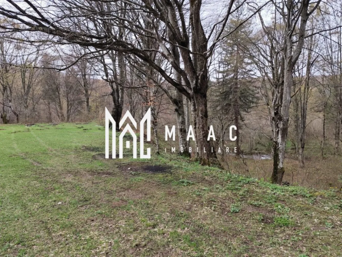 Teren Intravilan | 2000Mp | Valea Avrigului - MAAC Imobiliare vă propune spre vânzare un teren intravilan cu potențial excelent, situat în Valea Avrigului, într-una dintre cele mai apreciate zone turistice, cu acces direct din drumul județean Avrig, oferind un cadru natural deosebit, liniște și multiple oportunități de dezvoltare.

Proprietatea are o suprafață generoasă de 2.000 mp și beneficiază de un front stradal de 65 ml, ceea ce permite o varietate de opțiuni pentru construcții rezidențiale sau turistice.

Caracteristici:
-teren intravilan, pregătit pentru construcții
-acces direct și rapid din drum
-suprafață: 2.000 mp
-deschidere: 65 m
-teren liber de construcții

Avantaje ale amplasării:
-zonă liniștită, înconjurată de natură și peisaj pitoresc
-pârâu situat la aproximativ 4 m distanță, oferind un plus de valoare și atmosferă naturală
-regim de înălțime permis: P + 1E + M

Terenul este ideal pentru dezvoltarea unei case de vacanță, cabane sau pensiuni, fiind potrivit atât pentru uz personal, cât și pentru investiție în turism.

Pentru mai multe detalii, vă rugăm să menționați telefonic că ați văzut anunțul cu CP2840041