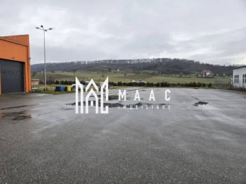 Imobil industrial I 448 mp I Teren 12.000 mp I Bradu I De Inchiriat