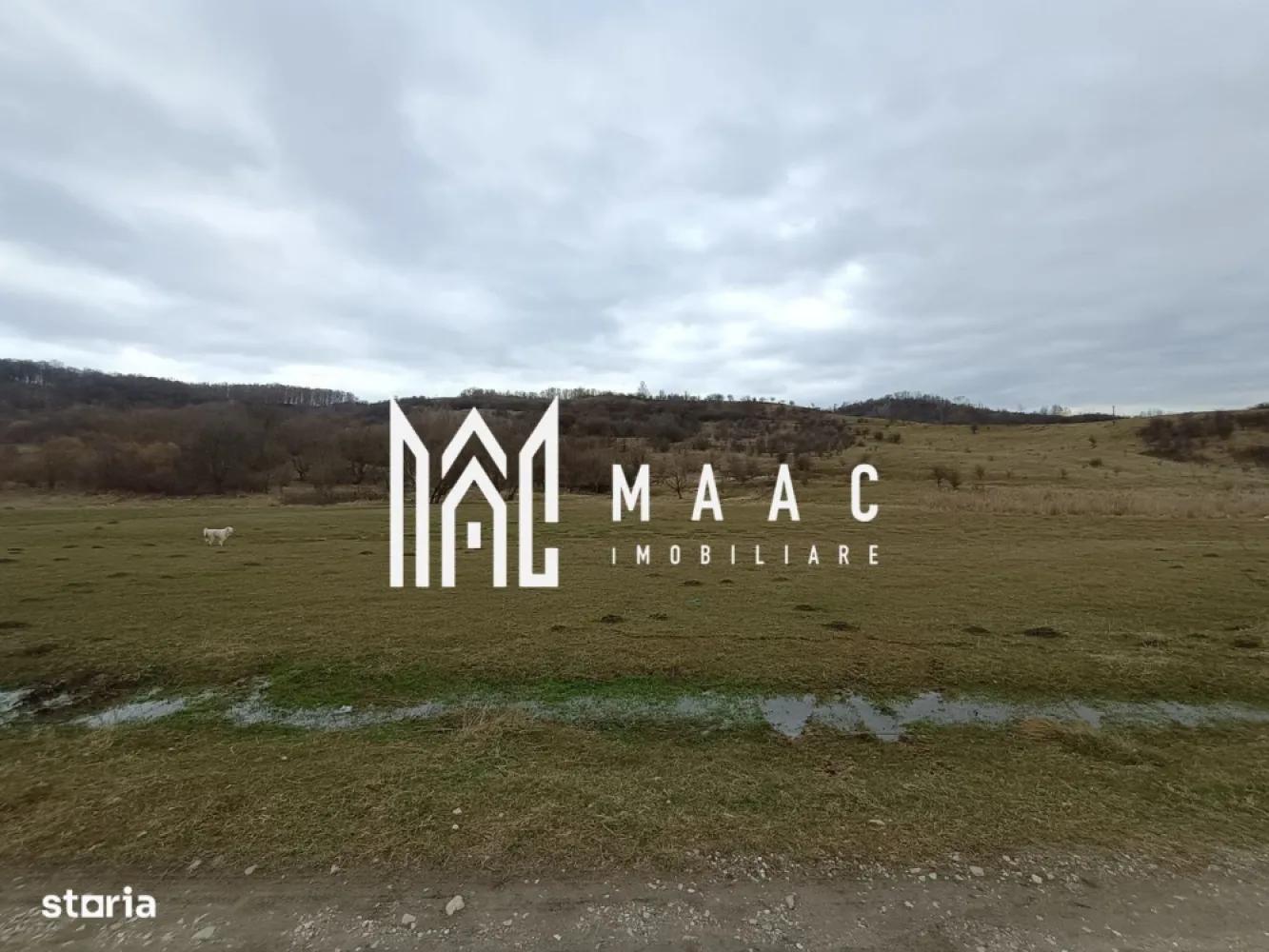 Teren intravilan Ocnele Mari | 2500mp | - MAAC Imobiliare, vă propune spre vanzare un teren intravilan plat, cu potențial excelent de dezvoltare, situat într-o zonă liniștită, cu peisaj deschis către dealuri și acces facil către oraș, la doar 12 km de Râmnicu Vâlcea, pe drumul Ocnele Mari – Ocnița (DN67).
Localizare avantajoasă:

12 km de Râmnicu Vâlcea

4 km până la ștrand Ocnița

Acces direct din DN67

Zonă aerisită, liniștită, ideală pentru rezidențial

Caracteristici teren:

Suprafață: 2.500 mp

Teren complet plat – ideal pentru construcție, 

Deschidere 25 ml

Lungime 100 ml

Posibilitate realizare drum nou pe lateral (100 m) – perfect pentru parcelare sau dezvoltare integrată

Propunere dezvoltare urbanistică:
Terenul este potrivit pentru introducere în PUG în vederea dezvoltării unui cartier rezidențial mixt, cu:

Lărgire și modernizare drumuri

Introducere utilități

Regim de înălțime P+2

Locuințe individuale, duplexuri sau mici imobile colective

Datorită suprafeței generoase, deschiderii bune și faptului că este teren plat, proprietatea permite o parcelare eficientă și optimizarea costurilor de construcție.

🌄 Beneficii cheie:

Priveliște frumoasă către dealuri

Zonă retrasă, dar cu acces rapid la oraș

Teren plat – avantaj major pentru dezvoltatori

Potențial investițional ridicat

Pentru detalii suplimentare și vizionări, echipa MAAC Imobiliare vă stă la dispoziție.

O oportunitate excelentă pentru dezvoltare rezidențială într-o zonă în plină creștere!
CP2947017