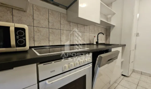 Apartament 2 camere Cal.Romanilor.Din 01.08