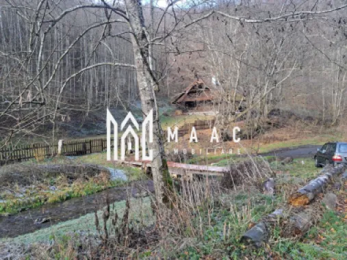 Paradis I Casa de lemn I Transalpina I Sugag