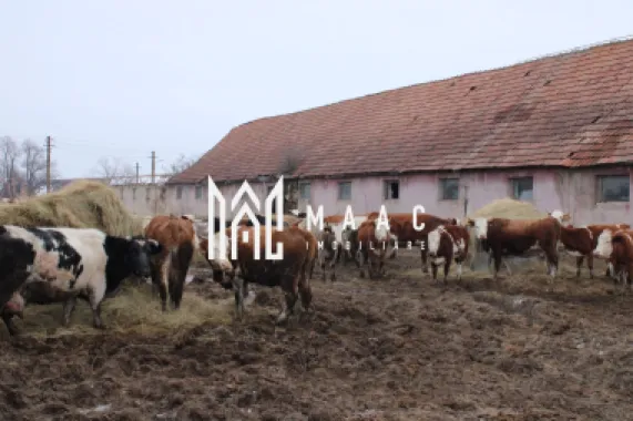 Fermă agricola funcțională de vanzare I Vurpar