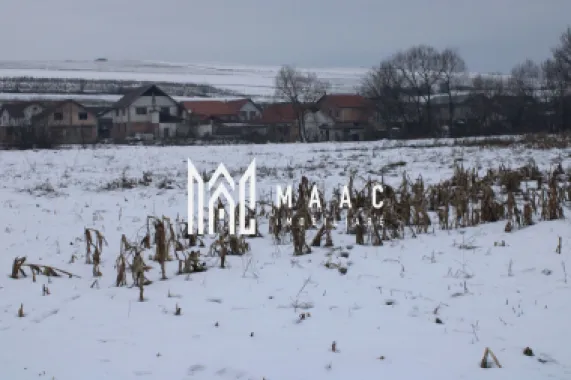 Fermă agricola funcțională de vanzare I Vurpar