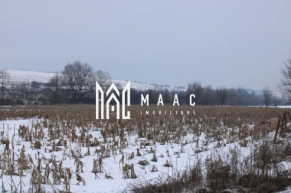 Fermă agricola funcțională de vanzare I Vurpar