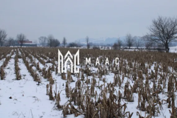 Fermă agricola funcțională de vanzare I Vurpar