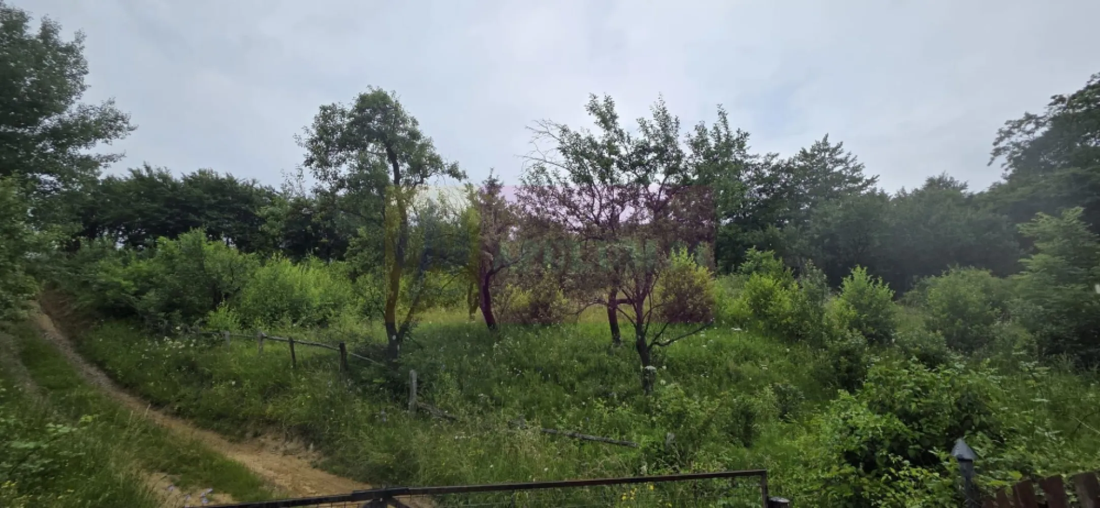 Teren intravilan 4000 mp in Breaza, Nistoresti - Teren intravilan de vânzare în Breaza – Cartier Nistorești | 4.000 mp | Cadru natural deosebit

Agenția Imobiliară Mervani vă propune spre vânzare un teren intravilan cu o suprafață de 4.000 mp, situat în cartierul Nistorești din Breaza, într-o zonă liniștită, înconjurată de natură, ideală pentru cei care își doresc relaxare, intimitate și aer curat.

Proprietatea este amplasată într-un cadru natural deosebit, fiind înconjurată de pădure și beneficiind de câțiva vecini, ceea ce oferă echilibrul perfect între intimitate și accesibilitate.

Pe teren se află o mică căsuță de grădină, potrivită pentru depozitare sau pentru utilizare temporară în timpul amenajării viitoarei proprietăți.

Caracteristici:

 teren intravilan cu suprafața de 4.000 mp;
 teren împrejmuit;
 fântână proprie pentru alimentarea cu apă;
 energie electrică disponibilă în apropierea proprietății;
 cadru natural spectaculos, în mijlocul pădurii;
 vecinătăți puține, ideale pentru liniște și relaxare.

Datorită amplasării sale, proprietatea este potrivită pentru construirea unei case de vacanță, a unei cabane sau a unei locuințe permanente pentru cei care apreciază natura și intimitatea.

Un alt avantaj îl reprezintă poziționarea în apropierea comunei Șotrile și a zonei turistice Valea Doftanei, recunoscută pentru peisajele sale spectaculoase și posibilitățile de recreere în aer liber.

Dacă sunteți în căutarea unui teren într-o zonă verde, retrasă și cu un potențial deosebit, această proprietate merită vizionată.

Pentru informații suplimentare și programarea unei vizionări:

Agenția Imobiliară Mervani
 0729 935 536