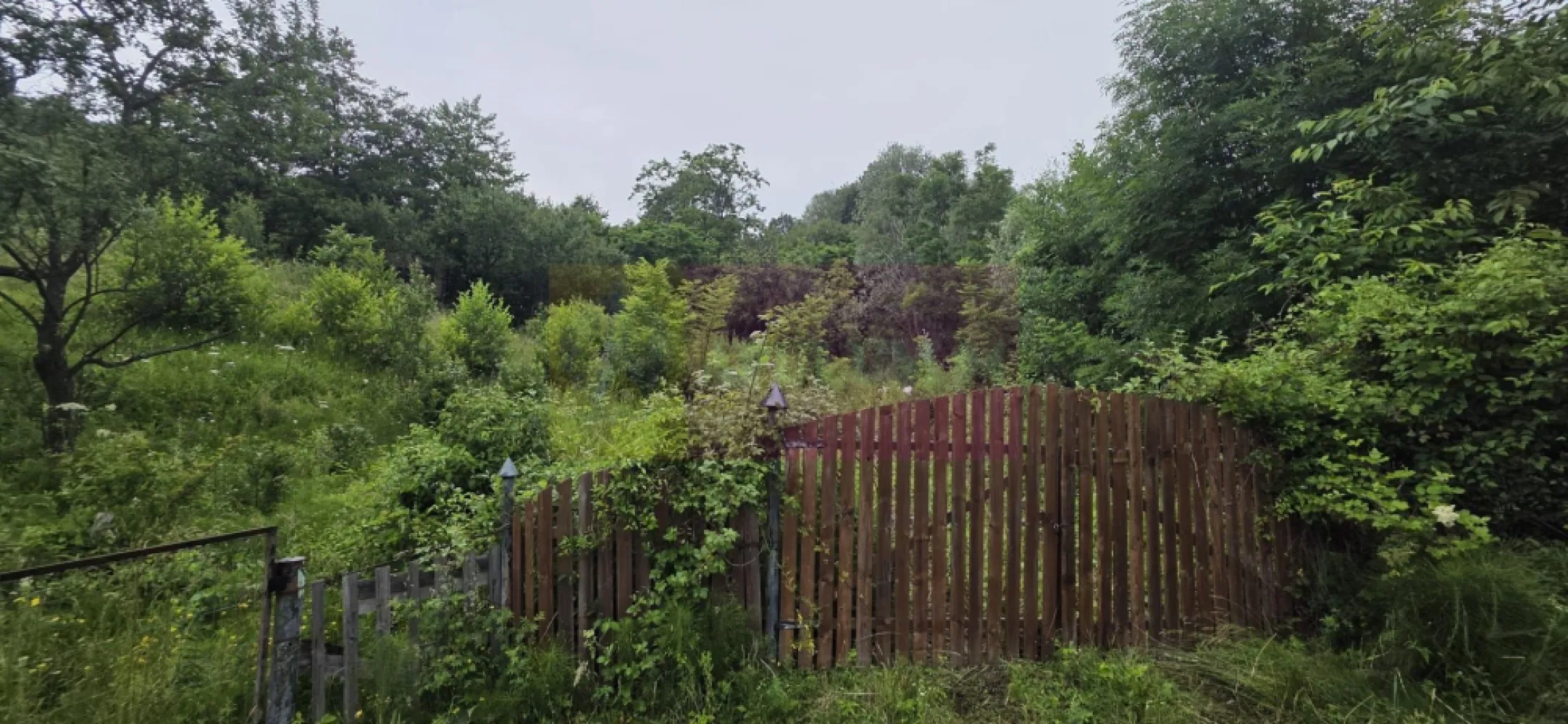 Teren intravilan 4000 mp in Breaza, Nistoresti - Teren intravilan de vânzare în Breaza – Cartier Nistorești | 4.000 mp | Cadru natural deosebit

Agenția Imobiliară Mervani vă propune spre vânzare un teren intravilan cu o suprafață de 4.000 mp, situat în cartierul Nistorești din Breaza, într-o zonă liniștită, înconjurată de natură, ideală pentru cei care își doresc relaxare, intimitate și aer curat.

Proprietatea este amplasată într-un cadru natural deosebit, fiind înconjurată de pădure și beneficiind de câțiva vecini, ceea ce oferă echilibrul perfect între intimitate și accesibilitate.

Pe teren se află o mică căsuță de grădină, potrivită pentru depozitare sau pentru utilizare temporară în timpul amenajării viitoarei proprietăți.

Caracteristici:

 teren intravilan cu suprafața de 4.000 mp;
 teren împrejmuit;
 fântână proprie pentru alimentarea cu apă;
 energie electrică disponibilă în apropierea proprietății;
 cadru natural spectaculos, în mijlocul pădurii;
 vecinătăți puține, ideale pentru liniște și relaxare.

Datorită amplasării sale, proprietatea este potrivită pentru construirea unei case de vacanță, a unei cabane sau a unei locuințe permanente pentru cei care apreciază natura și intimitatea.

Un alt avantaj îl reprezintă poziționarea în apropierea comunei Șotrile și a zonei turistice Valea Doftanei, recunoscută pentru peisajele sale spectaculoase și posibilitățile de recreere în aer liber.

Dacă sunteți în căutarea unui teren într-o zonă verde, retrasă și cu un potențial deosebit, această proprietate merită vizionată.

Pentru informații suplimentare și programarea unei vizionări:

Agenția Imobiliară Mervani
 0729 935 536