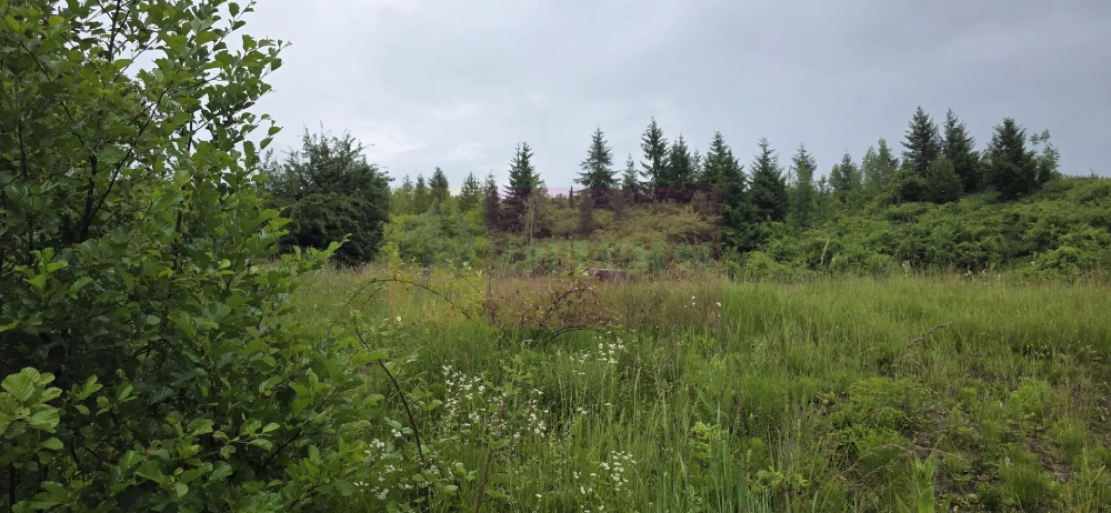 Teren intravilan 4000 mp in Breaza, Nistoresti - Teren intravilan de vânzare în Breaza – Cartier Nistorești | 4.000 mp | Cadru natural deosebit

Agenția Imobiliară Mervani vă propune spre vânzare un teren intravilan cu o suprafață de 4.000 mp, situat în cartierul Nistorești din Breaza, într-o zonă liniștită, înconjurată de natură, ideală pentru cei care își doresc relaxare, intimitate și aer curat.

Proprietatea este amplasată într-un cadru natural deosebit, fiind înconjurată de pădure și beneficiind de câțiva vecini, ceea ce oferă echilibrul perfect între intimitate și accesibilitate.

Pe teren se află o mică căsuță de grădină, potrivită pentru depozitare sau pentru utilizare temporară în timpul amenajării viitoarei proprietăți.

Caracteristici:

 teren intravilan cu suprafața de 4.000 mp;
 teren împrejmuit;
 fântână proprie pentru alimentarea cu apă;
 energie electrică disponibilă în apropierea proprietății;
 cadru natural spectaculos, în mijlocul pădurii;
 vecinătăți puține, ideale pentru liniște și relaxare.

Datorită amplasării sale, proprietatea este potrivită pentru construirea unei case de vacanță, a unei cabane sau a unei locuințe permanente pentru cei care apreciază natura și intimitatea.

Un alt avantaj îl reprezintă poziționarea în apropierea comunei Șotrile și a zonei turistice Valea Doftanei, recunoscută pentru peisajele sale spectaculoase și posibilitățile de recreere în aer liber.

Dacă sunteți în căutarea unui teren într-o zonă verde, retrasă și cu un potențial deosebit, această proprietate merită vizionată.

Pentru informații suplimentare și programarea unei vizionări:

Agenția Imobiliară Mervani
 0729 935 536