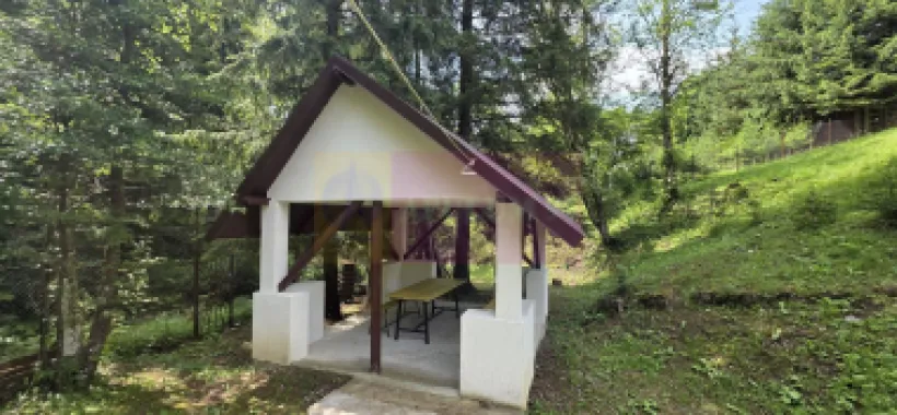 Vila din padure in Valea Doftanei