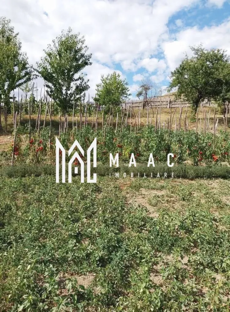 Casa I 60000 mp pamant I Cugir I Alba