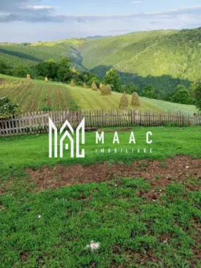 Casa I 60000 mp pamant I Cugir I Alba