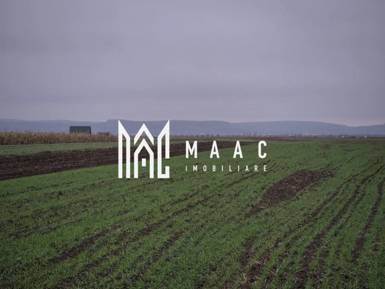 Teren extravilan | Gura raului | 2250 MP - MAAC Imobiliare vă prezintă spre vânzare un teren extravilan amplasat în pitoreasca localitate Gura Râului, o zonă apreciată pentru liniște, natură și proximitatea față de principalele puncte turistice din Mărginimea Sibiului. Proprietatea dispune de o suprafață totală de 2.250 mp, oferind un cadru ideal pentru activități agricole, recreative sau ca investiție sigură pe termen lung. Caracteristici teren: suprafață totală: 2.250 mp, formă regulată, ușor de parcelat sau de utilizat pentru diverse activități Utilități în zonă: curent electric: în apropiere, apă: prin rețea în localitate, gaz / canalizare: nu sunt disponibile momentan în extravilan. Avantaje ale proprietății: Poziționare într-o zonă liniștită, cu peisaje deosebite, perfectă pentru activități agricole, ferme mici, stupină sau recreere Teren ideal ca investiție, într-o comună turistică aflată în dezvoltare. Oportunitate excelentă pentru cei care caută terenuri în zone naturale, neaglomerate. Terenul este situat la o distanță de aproximativ 700 de metri față de drumul principal, oferind un echilibru ideal între accesibilitate și liniște. Puncte de interes apropiate: Barajul și lacul de acumulare Gura Râului, trasee spre Munții Cindrel, stațiunea Păltiniș, localitățile Rășinari, Orlat, Sibiel, Sibiu – la distanță rezonabilă Pentru mai multe detalii si programarea unei vizionari va invitam să contactati Maac imobiliare, specificand: CP2815609