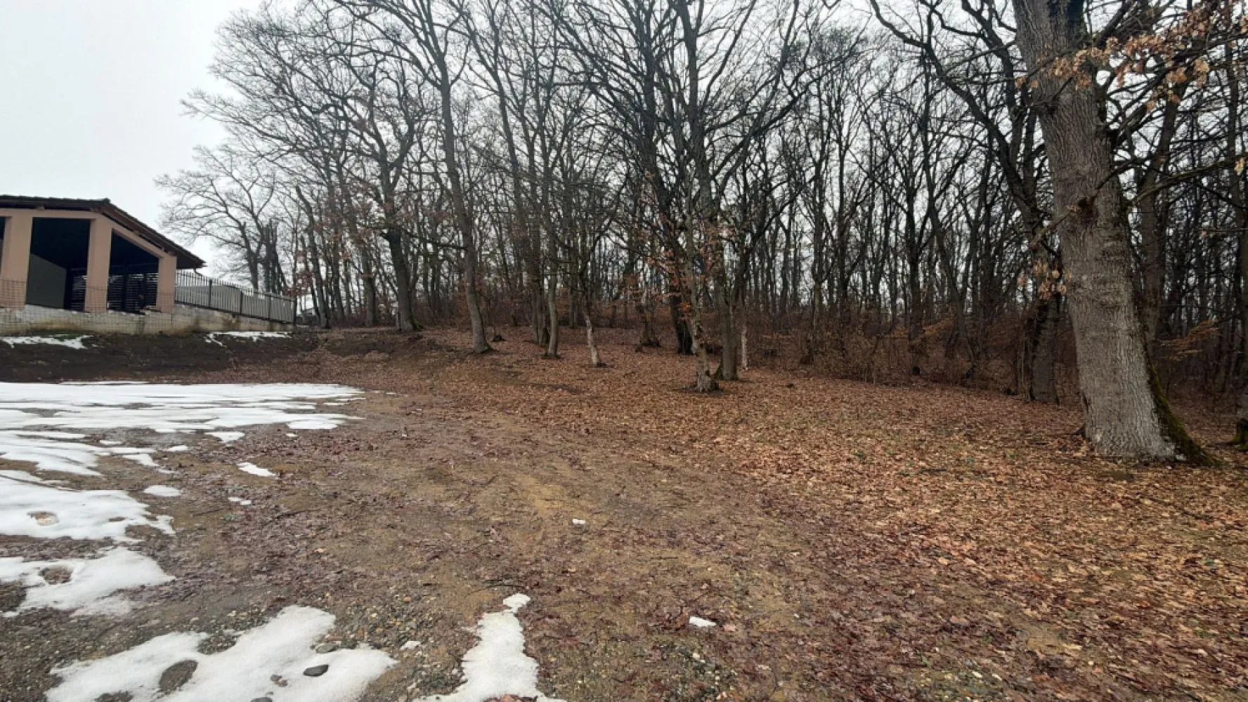 Teren intravilan la liziera pădurii – zonă liniștită- valea budacului - Vă propunem spre vânzare un teren intravilan cu poziționare deosebită, situat pe strada V. Budacului din Bistrița, într-o zonă verde și liniștită, chiar la liziera pădurii.

Terenul are o suprafață de aproximativ 559 mp, fiind ideal pentru construirea unei locuințe într-un cadru natural, cu multă intimitate.

front stradal :35 metri

Avantaje:
Acces direct din drum asfaltat

Toate utilitățile disponibile

Zonă aerisită, aproape de natură

În apropiere de cartierul RAAL

Această proprietate oferă combinația perfectă între liniștea naturii și accesul rapid către oraș, fiind potrivită pentru cei care își doresc să construiască într-o zonă bine poziționată și în plină dezvoltare.