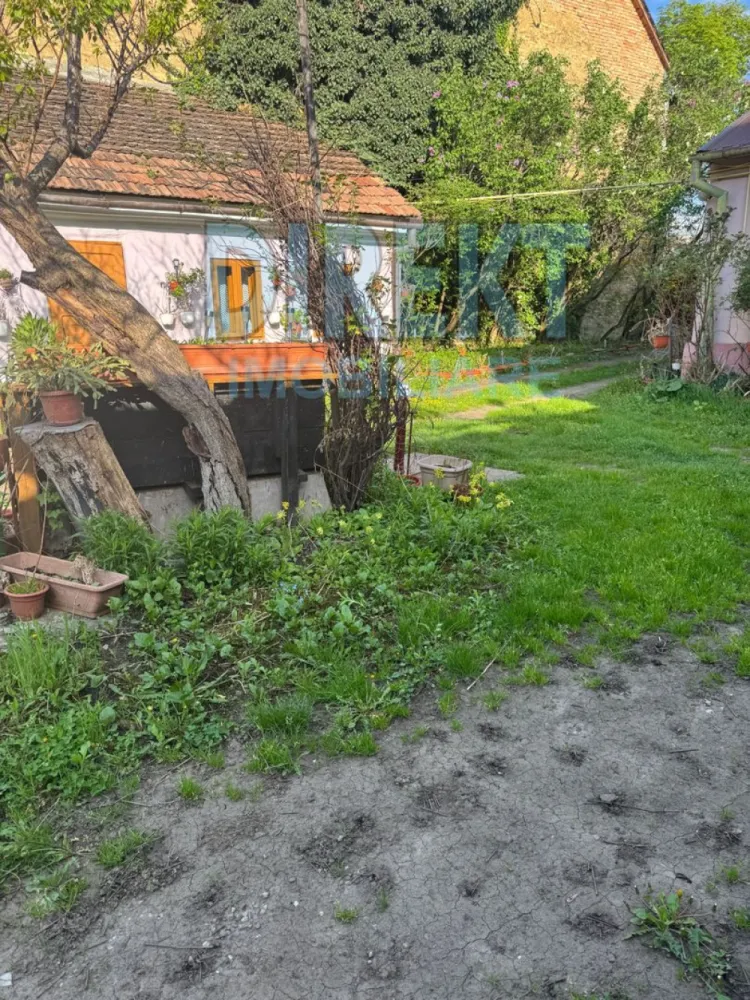 Casa 3 camere , 500 mp teren , zona C.R.Vivu - Agentia Direkt Imobiliare propune spre vanzare casa situata pe strada Constantin Roman Vivu

Imobilul este compus din 3 camere , baie , bucatarie , in suprafata de 100 mp , si anexe gospodaresti , teren aferent 500 mp .

Imobilul poate avea destinatia de spatiu birouri , casa de locuit , cabinet medical etc .

Posibilitate de mansardare .

Loc de parcare in curtea interioara .