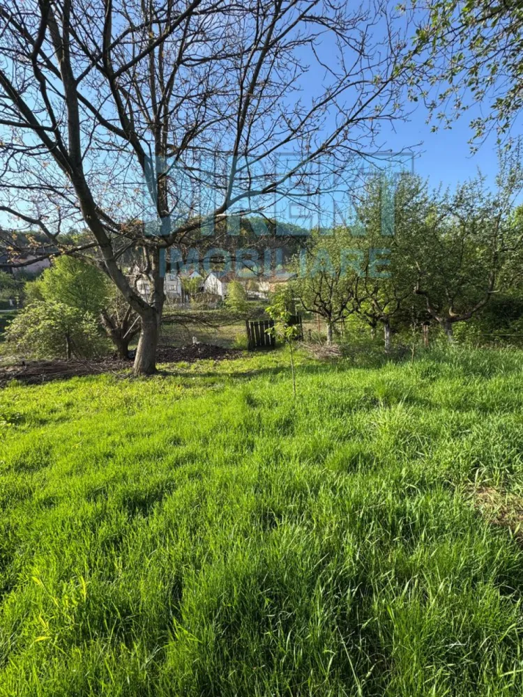 Casa 3 camere , 500 mp teren , zona C.R.Vivu