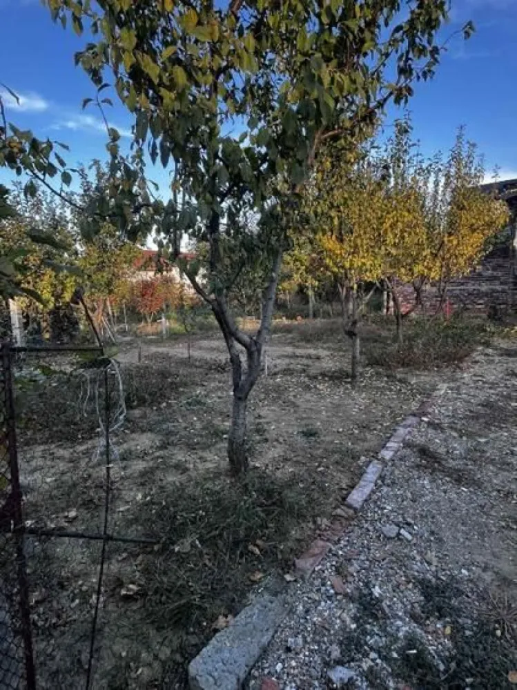 BRASADAS vinde casa in zona 14 Mai. - Agentia Imobiliara BRASADAS vinde casă cu etaj in zona 14 Mai-Solidarității. Casa-140 mp la sol, in total-280 mp, terenul este in 2 topuri 762 mp si 554 mp (se vinde împreună). 
Casa necestită investiții. 
Www.brasadas.com.