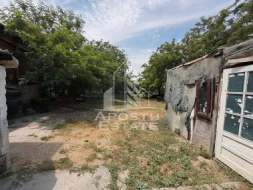 Casa de vanzare, teren 225 mp, zona Fratelia, Bujorilor, Timisoara