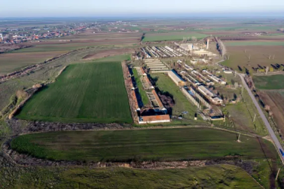 Teren 1.15 HA lângă Autostrada – Nădlac | clădiri+utilități