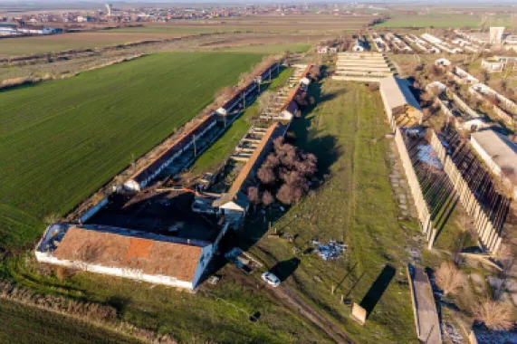 Teren 1.15 HA lângă Autostrada – Nădlac | clădiri+utilități