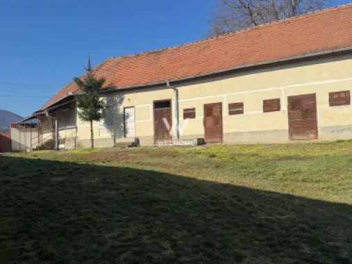 Casa cu lac in curte, Sacel, Sibiu