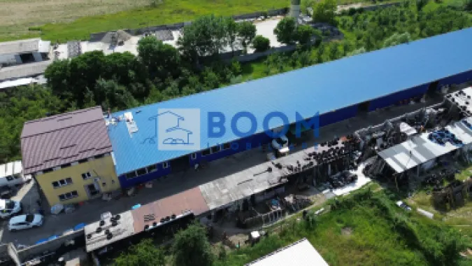 Logo Boom Imobiliare logo