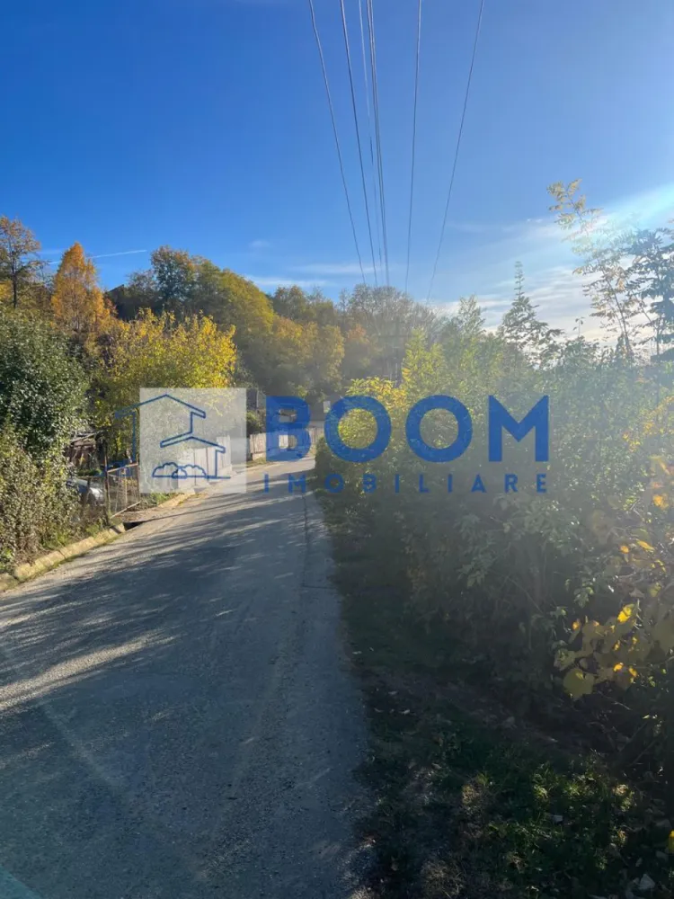 Teren | Vladesti | 1000 MP - BOOM Imobiliare vă propune spre vânzare un teren intravilan situat la intrarea în localitatea Vlădești, pe o stradă laterală, la aproximativ 400 de metri de drumul principal ce duce către Băile Olănești**.

Proprietatea oferă o suprafață totală de 1.000 mp, cu deschidere generoasă de circa 25 metri la drum, fiind potrivită pentru construcția unei case de locuit, a unei vile sau chiar a unei pensiuni.

Caracteristici principale:

* Suprafață totală: 1.000 mp
* Deschidere: aprox. 25 m
* Regim juridic: intravilan
* Teren drept, ușor accesibil
* Se poate parcela în două loturi egale de 500 mp fiecare – ideal pentru două locuințe individuale sau pentru investiție
* Utilități la limita proprietății:

 * Gaz
 * Curent electric
 * Apă
 * Canalizare

Locație:

Terenul este amplasat într-o zonă liniștită și aerisită, cu acces facil către orașul Râmnicu Vâlcea (doar câteva minute de mers cu mașina) și către stațiunea Băile Olănești.
Amplasamentul oferă un echilibru perfect între liniștea de la marginea orașului și proximitatea față de principalele puncte de interes.

O oportunitate excelentă pentru cei care doresc să construiască o locuință modernă într-o zonă verde și liniștită sau pentru investitori care caută terenuri cu potențial de dezvoltare!

Pentru mai multe detalii sau pentru programarea unei vizionări, contactați echipa BOOM Imobiliare si specificati ID: CP3195753