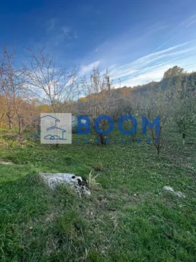 Casa cu livada | Bujoreni | 1550 mp