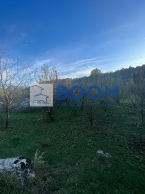 Casa cu livada | Bujoreni | 1550 mp