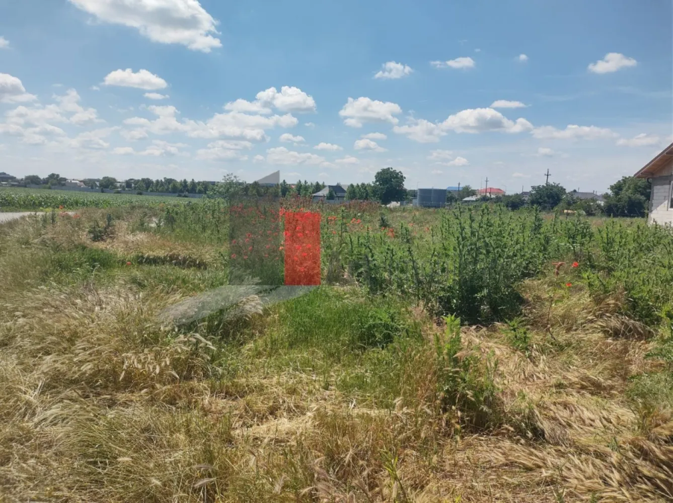 Vânzare 2 loturi de casă Dobreni Giurgiu - Vă propun spre vânzare 2 loturi de casă, situate în intravilanul localității Dobreni, județul Giurgiu.
Loturile sunt alăturate și au suprafețele de 359mp, respectiv 368mp.

Deschiderile la drumul principal sunt de 21m și 24,7m. Drumul este asfaltat.

Conform certificatelor de urbanism, pe loturi se pot construi case P+1E+M.
La aproximativ 100m sunt stația de apă și un transformator, iar primăria a început demersurile pentru aducerea conductei de gaz în localitate.

Se pot vinde împreună sau separat.