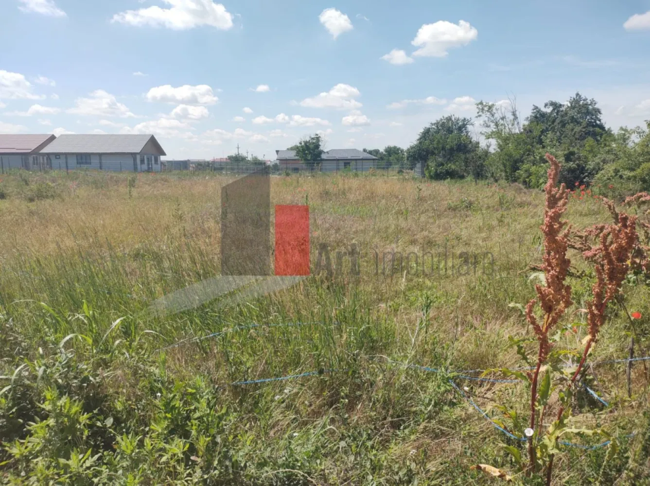 Vânzare 2 loturi de casă Dobreni Giurgiu - Vă propun spre vânzare 2 loturi de casă, situate în intravilanul localității Dobreni, județul Giurgiu.
Loturile sunt alăturate și au suprafețele de 359mp, respectiv 368mp.

Deschiderile la drumul principal sunt de 21m și 24,7m. Drumul este asfaltat.

Conform certificatelor de urbanism, pe loturi se pot construi case P+1E+M.
La aproximativ 100m sunt stația de apă și un transformator, iar primăria a început demersurile pentru aducerea conductei de gaz în localitate.

Se pot vinde împreună sau separat.