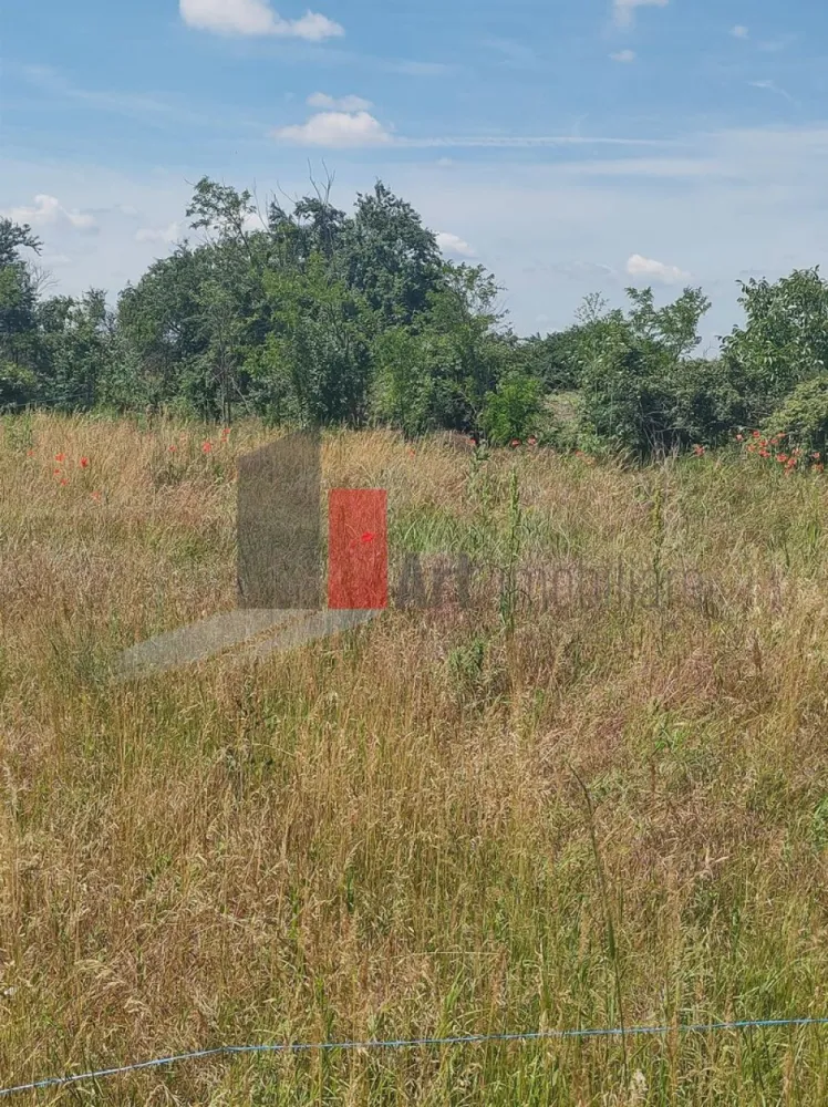 Vânzare 2 loturi de casă Dobreni Giurgiu - Vă propun spre vânzare 2 loturi de casă, situate în intravilanul localității Dobreni, județul Giurgiu.
Loturile sunt alăturate și au suprafețele de 359mp, respectiv 368mp.

Deschiderile la drumul principal sunt de 21m și 24,7m. Drumul este asfaltat.

Conform certificatelor de urbanism, pe loturi se pot construi case P+1E+M.
La aproximativ 100m sunt stația de apă și un transformator, iar primăria a început demersurile pentru aducerea conductei de gaz în localitate.

Se pot vinde împreună sau separat.