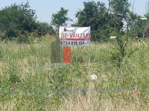 Vânzare 2 loturi de casă Dobreni Giurgiu