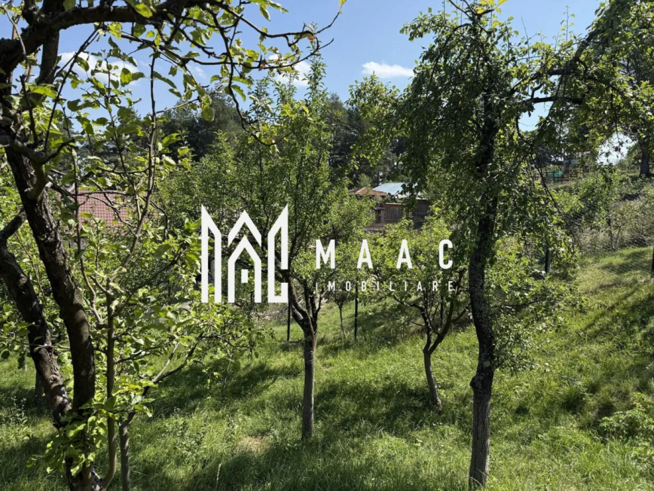 Casă I Teren 1550 mp I Sat Vale I Mărginimea Sibiului
