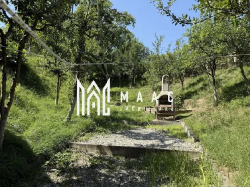 Casă I Teren 1550 mp I Sat Vale I Mărginimea Sibiului