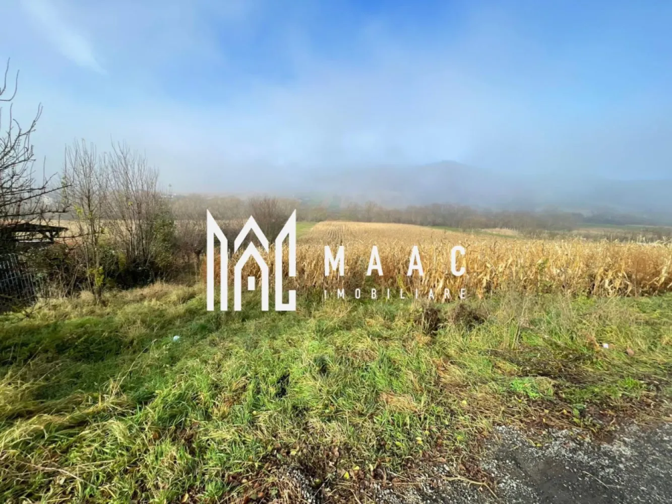 Teren 2.500 mp I Gușterița I PUZ I Aprobat I Ideal Dezvoltare - MAAC Imobiliare vă propune un teren intravilan de 2.500 mp, situat în cartierul Gușterița, pe strada Gorunului – zonă în plină dezvoltare, cu potențial ridicat pentru proiecte rezidențiale.

Proprietatea dispune de PUZ aprobat, oferind claritate și predictibilitate asupra viitoarelor dezvoltări. Terenul are o deschidere de 12,30 m la strada asfaltată, iar pentru o organizare optimă, va fi traversat de un drum median, asigurând acces facil către fiecare parcelă.

Posibilități de dezvoltare:
– Aproximativ jumătate din suprafață este pretabilă pentru construcția de locuințe.
– Cealaltă jumătate, situată spre râu, se pretează pentru proiecte de tip A-frame, construcții modulare sau unități tip container – ideal pentru un concept de cabane de vacanță, retreat sau micro-resort.

Utilități:
Toate utilitățile (apă, gaz, curent, canalizare) sunt disponibile vis-a-vis de proprietate, facilitând racordarea.

O oportunitate excelentă pentru dezvoltatori sau investitori care caută un teren versatil, cu documentație urbanistică clară și poziționare strategică într-o zonă în expansiune.

Pentru detalii suplimentare, consultanță sau programarea unei vizionări, va rugăm să ne contactati specificand ID: CP2829783.