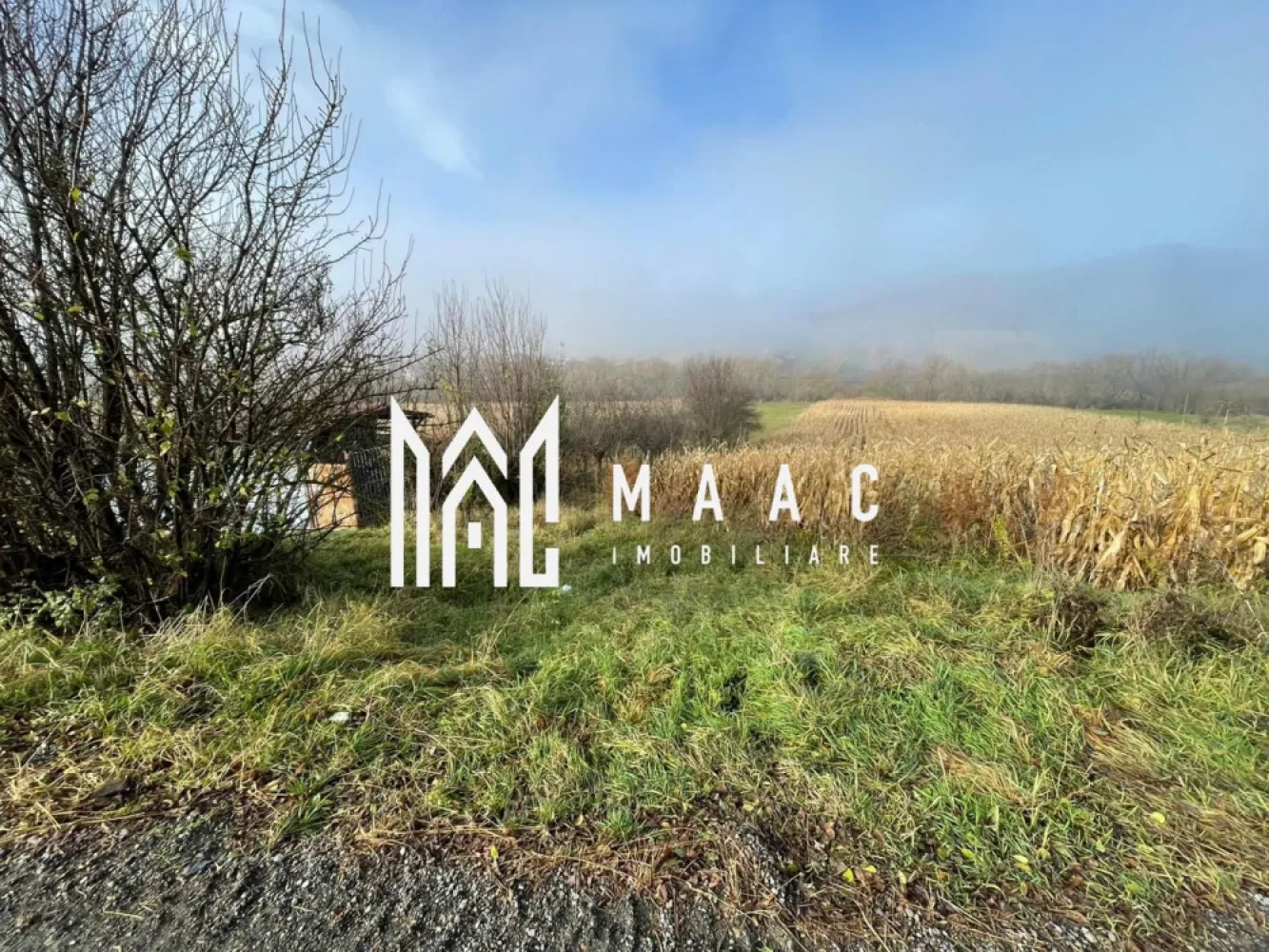 Teren 2.500 mp I Gușterița I PUZ I Aprobat I Ideal Dezvoltare - MAAC Imobiliare vă propune un teren intravilan de 2.500 mp, situat în cartierul Gușterița, pe strada Gorunului – zonă în plină dezvoltare, cu potențial ridicat pentru proiecte rezidențiale.

Proprietatea dispune de PUZ aprobat, oferind claritate și predictibilitate asupra viitoarelor dezvoltări. Terenul are o deschidere de 12,30 m la strada asfaltată, iar pentru o organizare optimă, va fi traversat de un drum median, asigurând acces facil către fiecare parcelă.

Posibilități de dezvoltare:
– Aproximativ jumătate din suprafață este pretabilă pentru construcția de locuințe.
– Cealaltă jumătate, situată spre râu, se pretează pentru proiecte de tip A-frame, construcții modulare sau unități tip container – ideal pentru un concept de cabane de vacanță, retreat sau micro-resort.

Utilități:
Toate utilitățile (apă, gaz, curent, canalizare) sunt disponibile vis-a-vis de proprietate, facilitând racordarea.

O oportunitate excelentă pentru dezvoltatori sau investitori care caută un teren versatil, cu documentație urbanistică clară și poziționare strategică într-o zonă în expansiune.

Pentru detalii suplimentare, consultanță sau programarea unei vizionări, va rugăm să ne contactati specificand ID: CP2829783.