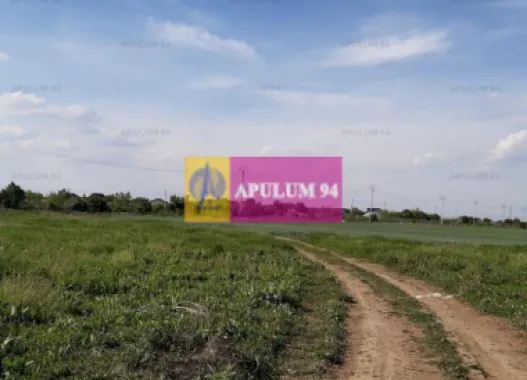 Teren aproape de Bucuresti langa padure
