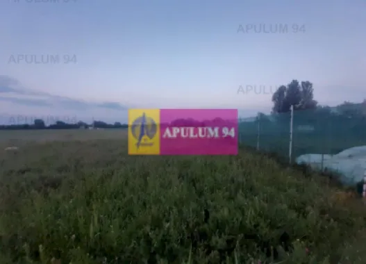 Teren aproape de Bucuresti langa padure