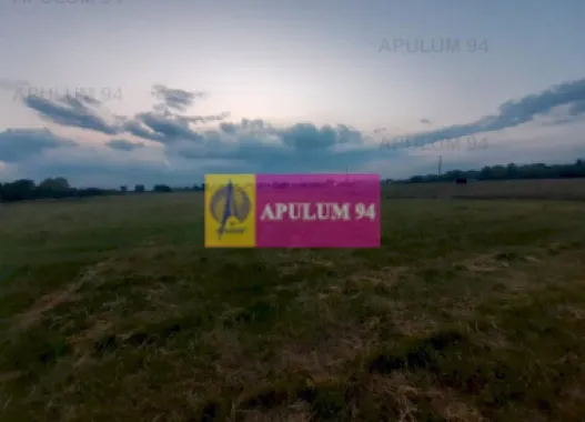 Teren aproape de Bucuresti langa padure