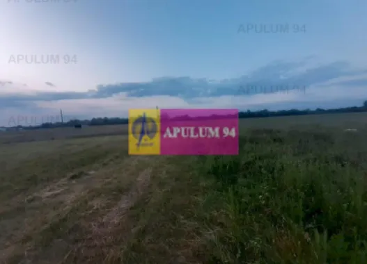 Teren aproape de Bucuresti langa padure