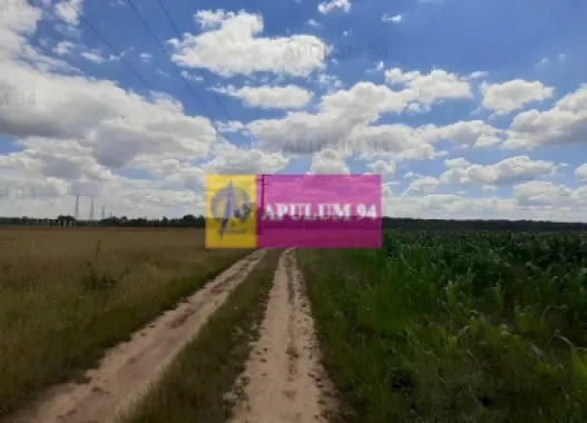 Teren 715mp în Snagov lângă Equestria