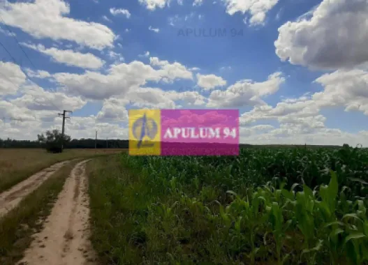 Teren 715mp în Snagov lângă Equestria