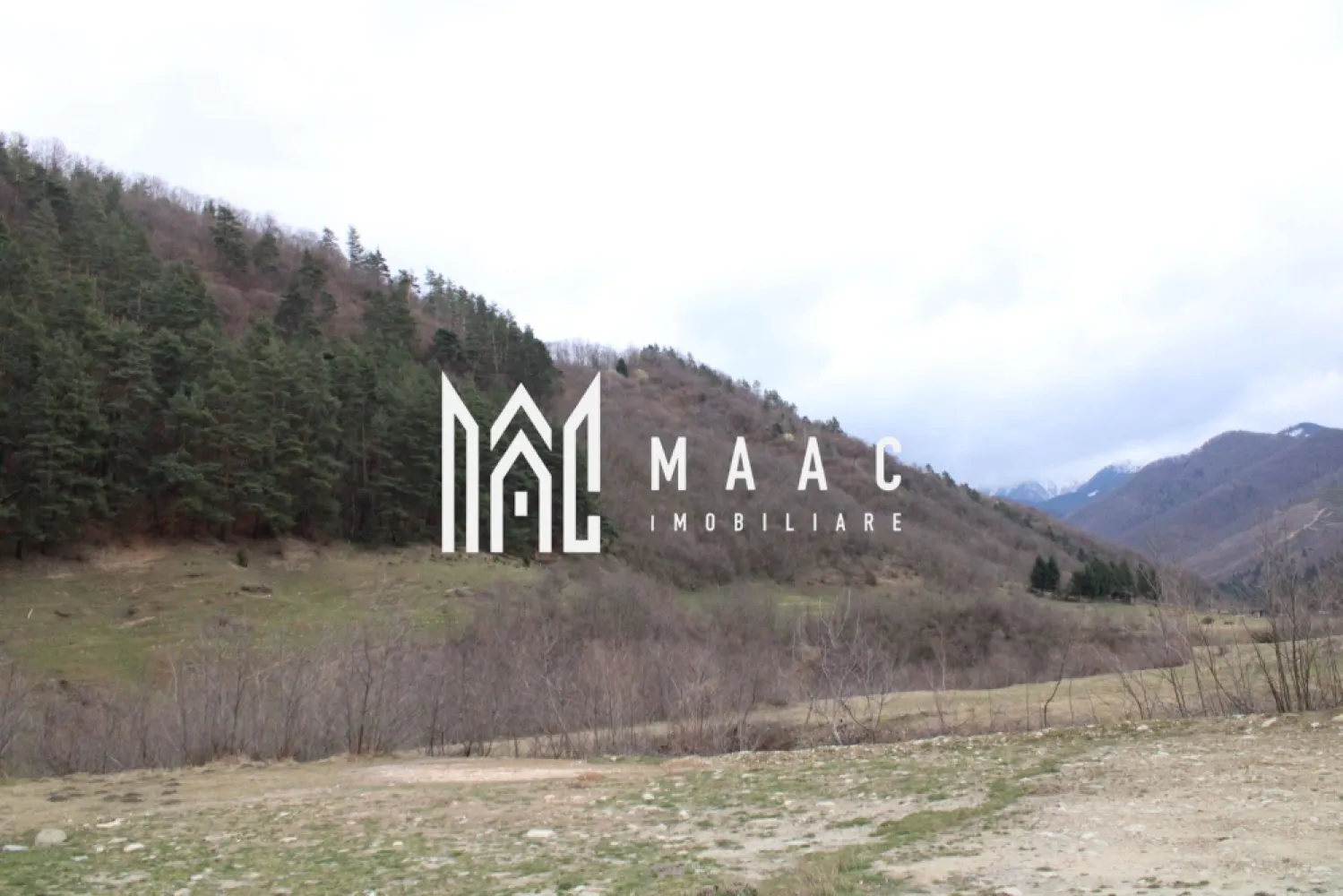 Teren Sebesul de Sus I 1100 mp I facilitati in apropiere - MAAC Imobiliare va propune spre vanzare - Un Pământ al Visurilor: O Fereastră către Eternitate în Inima Transilvaniei
Parcelele sunt dupa cum urmeaza:
- 1 parcelă de 1100 de metri pătrați cu facilități la 50 de metri.
Prețul este aproximativ. Toate parcelele se vor negocia separat cu proprietarul în momentul când CF-ul, intabularea și toate documentele vor fi gata. În prezent sunt la primăria din Racovița spre soluționare.
În inima Transilvaniei, unde dealurile se întind ca o mână verde către zare, se află un teren care nu este doar un lot, ci o fereastră către eternitate. Este amplasatla iesirea din sat spre poteca care urca lin spre Varful Suru, 
Un Loc de Echilibru Perfect
Aici, utilitățile moderne sunt la un pas, iar dezvoltarea înflorește în jur, dar priveliștea rămâne o poveste veche, scrisă de munți și văzduh. Terenul, perfect plan și generos, se întinde pe o lățime de 20 de metri la drum, ca o poartă larg deschisă, și se pierde în adâncime pe 200 de metri, oferind spațiu pentru vise la scară mare. Accesul la DN1 este instantaneu, legând liniștea pastorală a locului de pulsația vibrantă a țării.
Comoara Priveliștii
Dar adevărata comoară stă sus. De pe acest loc, ochiul cuprinde o panoramă care taie răsuflarea. În depărtare, mândri și nepăsători, Munții Făgărașului își înșiră crestele ascuțite împotriva cerului. Vârful Suru pare atât de aproape, încât ai impresia că poți să întinzi mâna și să atingi zăpada veșnică de pe culmile lui. În zori, soarele îmbrățișează culmile în nuanțe de aur și roz, iar în amurg, silueta masivă a munților se decupează în negru profund pe fundalul unei sfârșituri de zi în flăcări.
Mai Mult Decât un Teren
Acest teren nu este doar un loc pentru a construi o casă; este un piedestal pentru a construi o viață. Este un loc unde te poți trezi cu răsăritul în fereastră și unde liniștea de la poalele munților îți șoptește povești de vitejie și frumusețe pură. Este o promisiune: de a te bucura de confortul și conexiunea civilizației, având rețeaua rutieră principală la picior, în timp ce păstrezi, mereu sub ochi, măreția nestemată și liniștea atotcuprinzătoare a Făgărașilor.
MAAC Imobiliare – Construim mai mult decât case, construim legături cu eternitatea.
Pentru a transforma această viziune în realitatea dumneavoastră, vă rugăm să ne contactați telefonic, menționând că ați văzut anunțul cu ID: CP2983808.