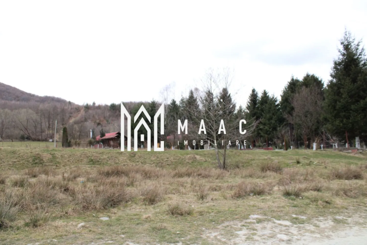 Teren Sebesul de Sus I 1100 mp I facilitati in apropiere - MAAC Imobiliare va propune spre vanzare - Un Pământ al Visurilor: O Fereastră către Eternitate în Inima Transilvaniei
Parcelele sunt dupa cum urmeaza:
- 1 parcelă de 1100 de metri pătrați cu facilități la 50 de metri.
Prețul este aproximativ. Toate parcelele se vor negocia separat cu proprietarul în momentul când CF-ul, intabularea și toate documentele vor fi gata. În prezent sunt la primăria din Racovița spre soluționare.
În inima Transilvaniei, unde dealurile se întind ca o mână verde către zare, se află un teren care nu este doar un lot, ci o fereastră către eternitate. Este amplasatla iesirea din sat spre poteca care urca lin spre Varful Suru, 
Un Loc de Echilibru Perfect
Aici, utilitățile moderne sunt la un pas, iar dezvoltarea înflorește în jur, dar priveliștea rămâne o poveste veche, scrisă de munți și văzduh. Terenul, perfect plan și generos, se întinde pe o lățime de 20 de metri la drum, ca o poartă larg deschisă, și se pierde în adâncime pe 200 de metri, oferind spațiu pentru vise la scară mare. Accesul la DN1 este instantaneu, legând liniștea pastorală a locului de pulsația vibrantă a țării.
Comoara Priveliștii
Dar adevărata comoară stă sus. De pe acest loc, ochiul cuprinde o panoramă care taie răsuflarea. În depărtare, mândri și nepăsători, Munții Făgărașului își înșiră crestele ascuțite împotriva cerului. Vârful Suru pare atât de aproape, încât ai impresia că poți să întinzi mâna și să atingi zăpada veșnică de pe culmile lui. În zori, soarele îmbrățișează culmile în nuanțe de aur și roz, iar în amurg, silueta masivă a munților se decupează în negru profund pe fundalul unei sfârșituri de zi în flăcări.
Mai Mult Decât un Teren
Acest teren nu este doar un loc pentru a construi o casă; este un piedestal pentru a construi o viață. Este un loc unde te poți trezi cu răsăritul în fereastră și unde liniștea de la poalele munților îți șoptește povești de vitejie și frumusețe pură. Este o promisiune: de a te bucura de confortul și conexiunea civilizației, având rețeaua rutieră principală la picior, în timp ce păstrezi, mereu sub ochi, măreția nestemată și liniștea atotcuprinzătoare a Făgărașilor.
MAAC Imobiliare – Construim mai mult decât case, construim legături cu eternitatea.
Pentru a transforma această viziune în realitatea dumneavoastră, vă rugăm să ne contactați telefonic, menționând că ați văzut anunțul cu ID: CP2983808.